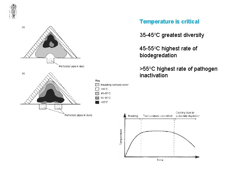 Temperature is critical 35 -45 o. C greatest diversity 45 -55 o. C highest