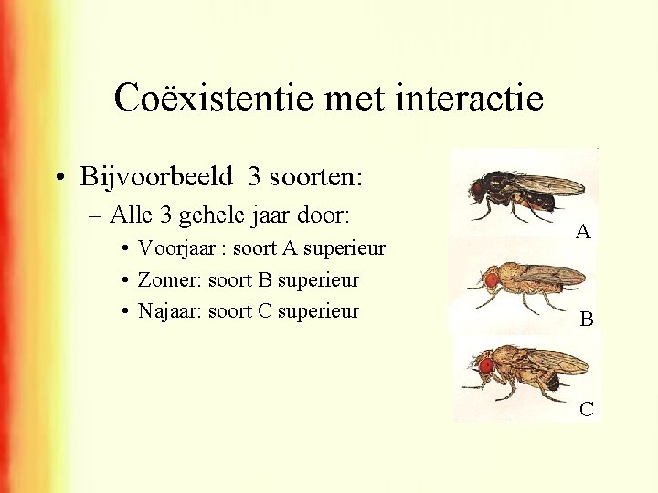 Coëxistentie met interactie • Bijvoorbeeld 3 soorten: – Alle 3 gehele jaar door: •