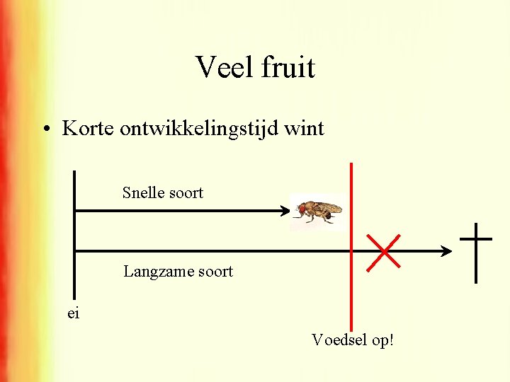 Veel fruit • Korte ontwikkelingstijd wint Snelle soort Langzame soort ei Voedsel op! 