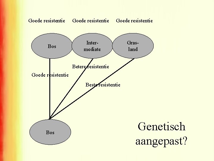 Goede resistentie Bos Goede resistentie Intermediate Grasland Betere resistentie Goede resistentie Beste resistentie Bos