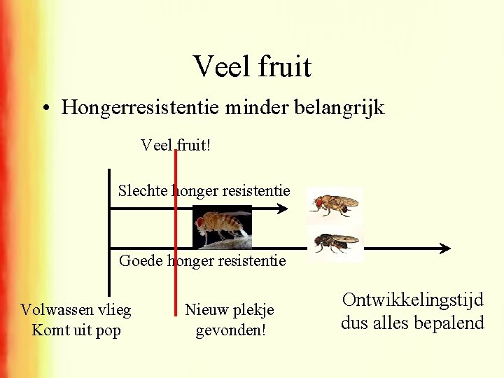 Veel fruit • Hongerresistentie minder belangrijk Veel fruit! Slechte honger resistentie Goede honger resistentie