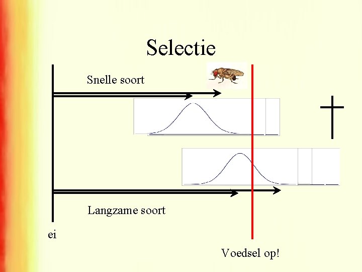 Selectie Snelle soort Langzame soort ei Voedsel op! 