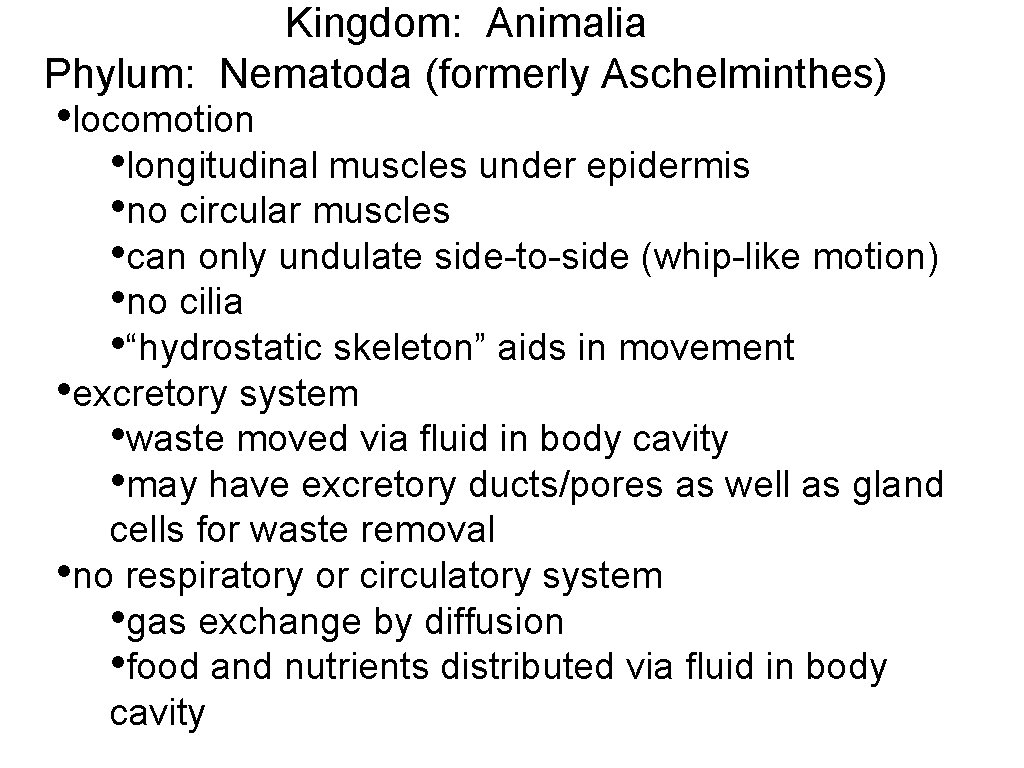 Kingdom: Animalia Phylum: Nematoda (formerly Aschelminthes) • locomotion • longitudinal muscles under epidermis •