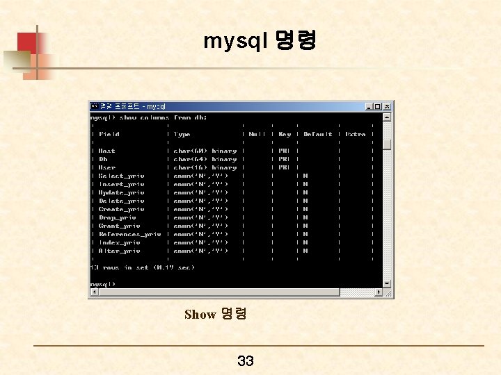 mysql 명령 Show 명령 33 