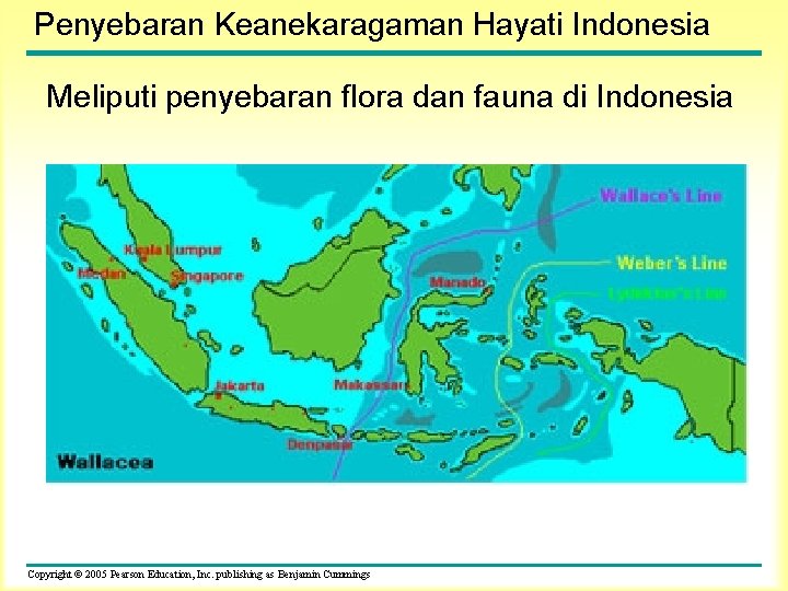 Penyebaran Keanekaragaman Hayati Indonesia Meliputi penyebaran flora dan fauna di Indonesia Copyright © 2005