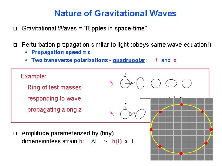 Nature of Gravitational Waves q Gravitational Waves = “Ripples in space-time” q Perturbation propagation