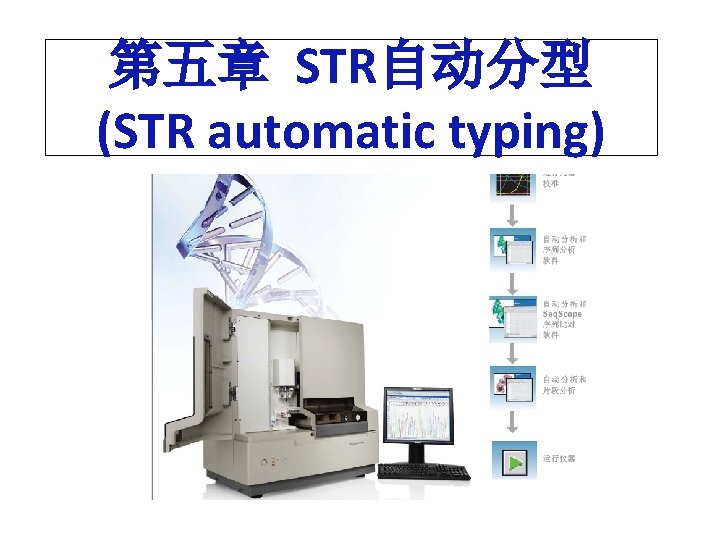 第五章 STR自动分型 (STR automatic typing) 