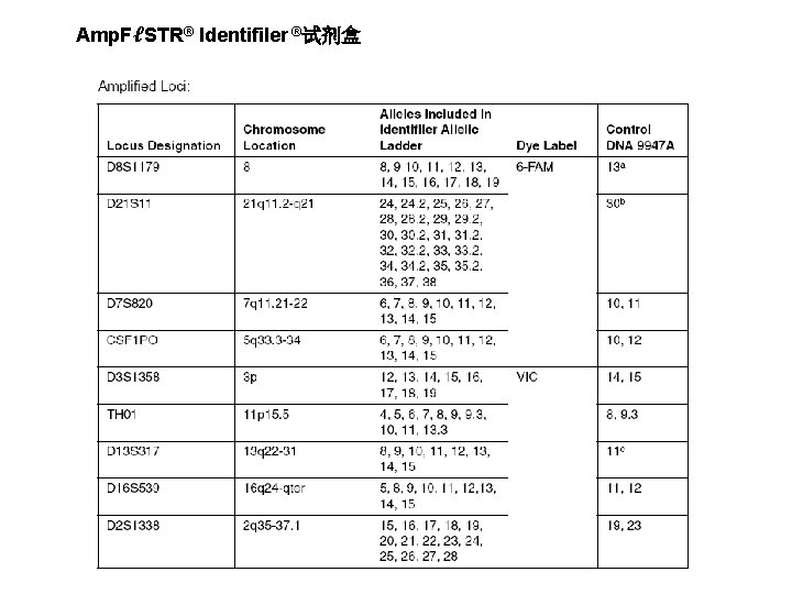 Amp. FℓSTR® Identifiler ®试剂盒 