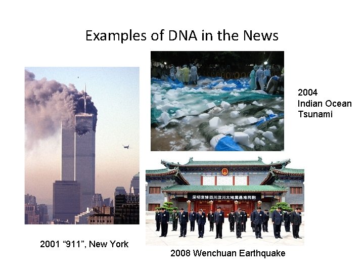 Examples of DNA in the News 2004 Indian Ocean Tsunami 2001 “ 911”, New