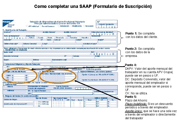 Como completar una SAAP (Formulario de Suscripción) Punto 1: Se completa con los datos