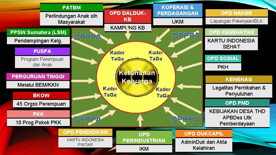 PATBM OPD DALDUKKB Perlindungan Anak olh Masyarakat PPSW Sumatera (LSM) Pendampingan Kelg. KOPERASI &