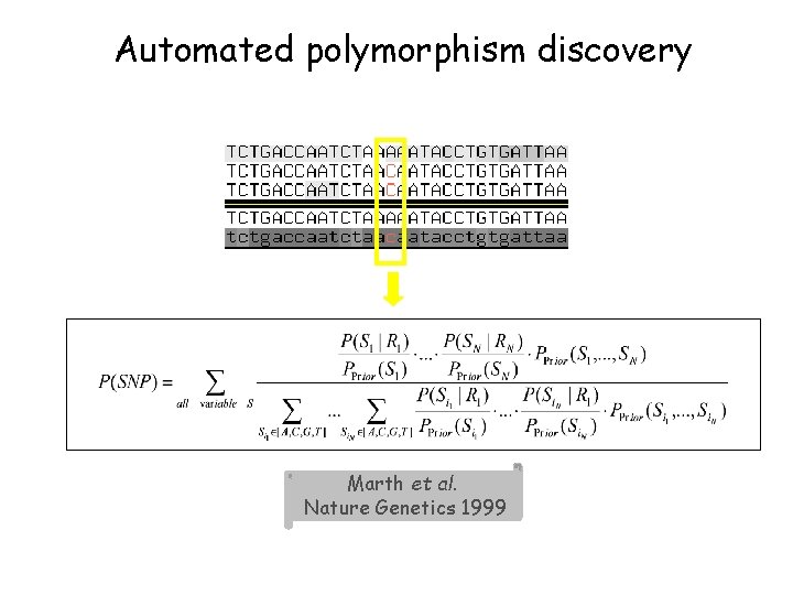 Automated polymorphism discovery Marth et al. Nature Genetics 1999 Automated polymorphism discovery Marth et al. Nature Genetics 1999