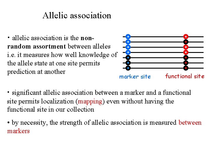 Allelic association • allelic association is the nonrandom assortment between alleles i. e. it Allelic association • allelic association is the nonrandom assortment between alleles i. e. it