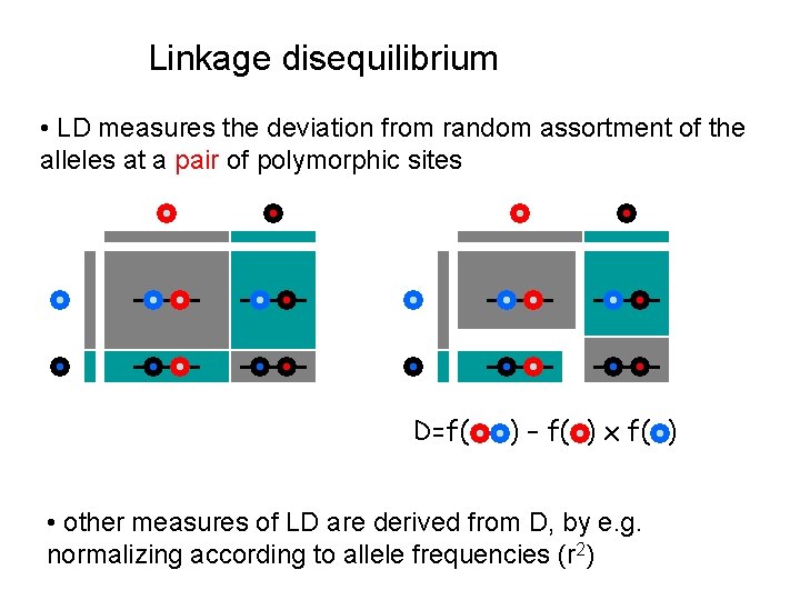 Linkage disequilibrium • LD measures the deviation from random assortment of the alleles at Linkage disequilibrium • LD measures the deviation from random assortment of the alleles at