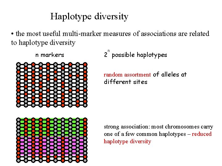 Haplotype diversity • the most useful multi-marker measures of associations are related to haplotype Haplotype diversity • the most useful multi-marker measures of associations are related to haplotype