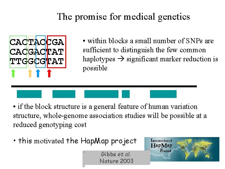 The promise for medical genetics CACTACCGA CACGACTAT TTGGCGTAT • within blocks a small number The promise for medical genetics CACTACCGA CACGACTAT TTGGCGTAT • within blocks a small number