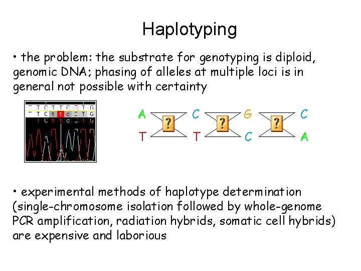 Haplotyping • the problem: the substrate for genotyping is diploid, genomic DNA; phasing of Haplotyping • the problem: the substrate for genotyping is diploid, genomic DNA; phasing of