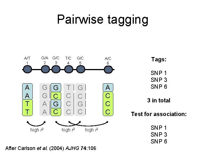 Pairwise tagging A/T 1 A A T T G/A 2 G G A A Pairwise tagging A/T 1 A A T T G/A 2 G G A A
