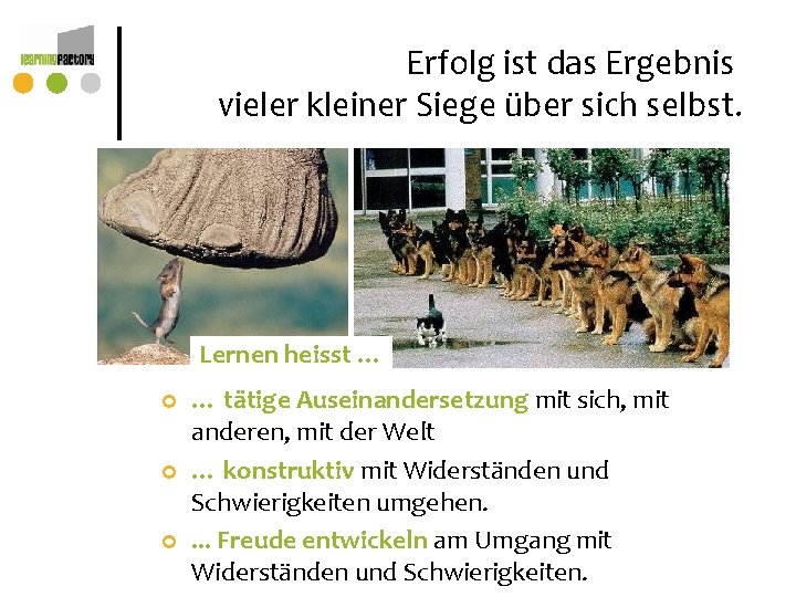 Erfolg ist das Ergebnis vieler kleiner Siege über sich selbst. Lernen heisst … ¢ Erfolg ist das Ergebnis vieler kleiner Siege über sich selbst. Lernen heisst … ¢
