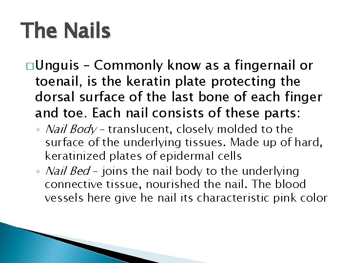 The Nails � Unguis – Commonly know as a fingernail or toenail, is the