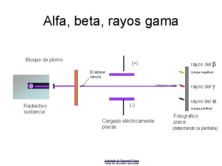 Alfa, beta, rayos gama Bloque de plomo rayos del b (+) (carga negativa) El