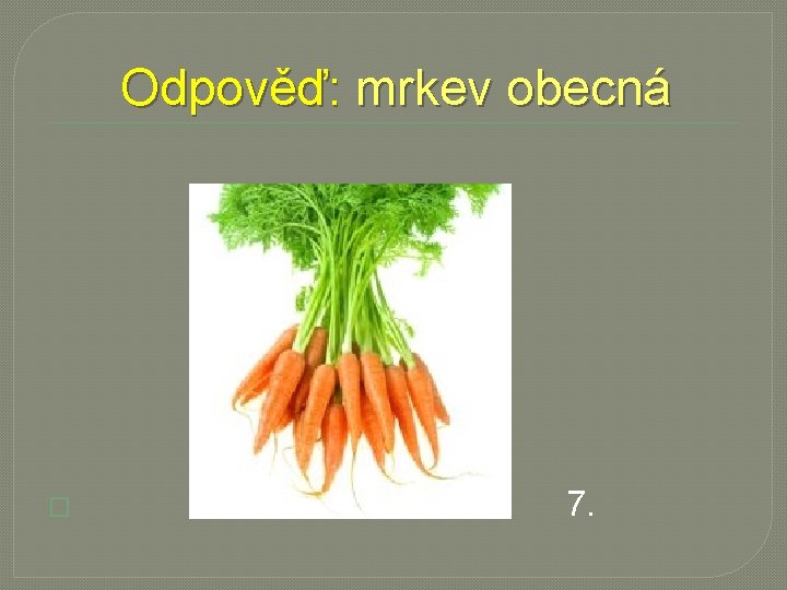 Odpověď: mrkev obecná � 7. 