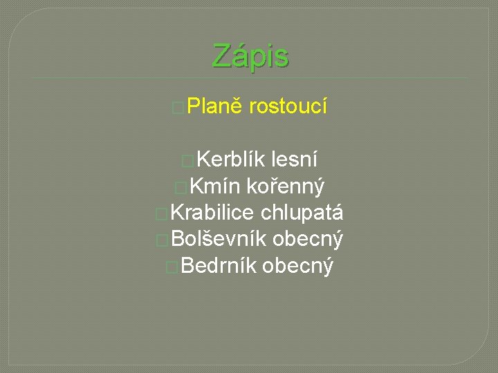 Zápis �Planě rostoucí �Kerblík lesní �Kmín kořenný �Krabilice chlupatá �Bolševník obecný �Bedrník obecný 