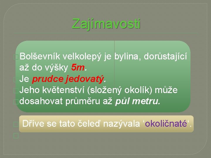 Zajímavosti �Bolševník velkolepý je bylina, dorůstající až do výšky 5 m. �Je prudce jedovatý.