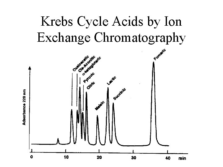 Krebs Cycle Acids by Ion Exchange Chromatography 