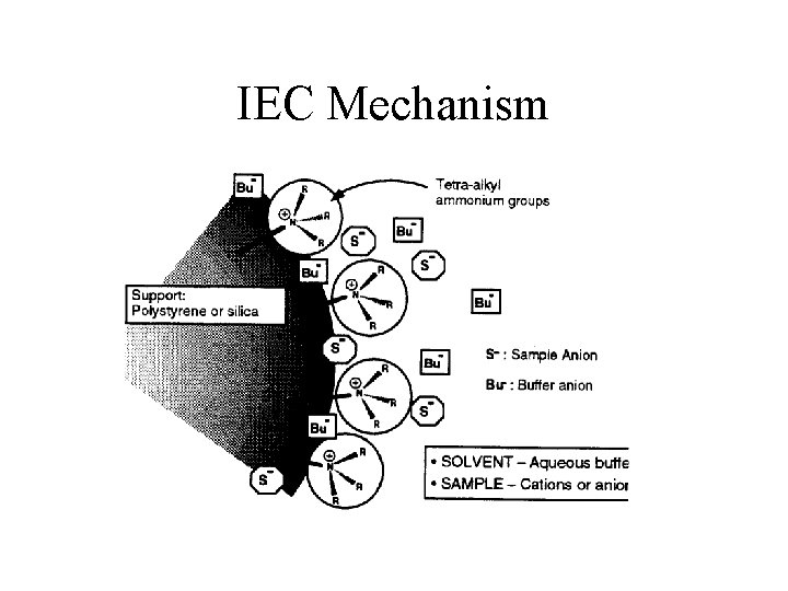 IEC Mechanism 