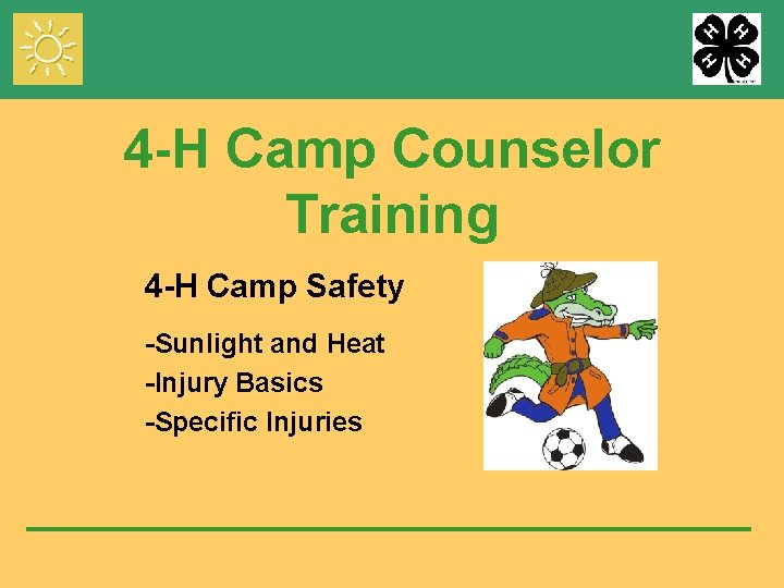 4 -H Camp Counselor Training 4 -H Camp Safety -Sunlight and Heat -Injury Basics
