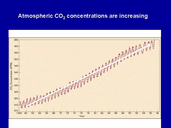 Atmospheric CO 2 concentrations are increasing 