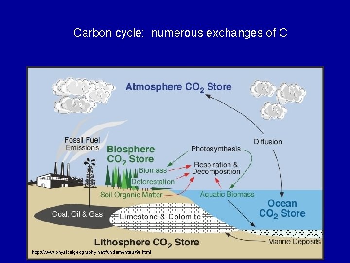 Carbon cycle: numerous exchanges of C http: //www. physicalgeography. net/fundamentals/9 r. html 