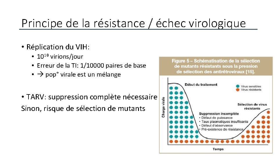 Principe de la résistance / échec virologique • Réplication du VIH: • 1010 virions/jour