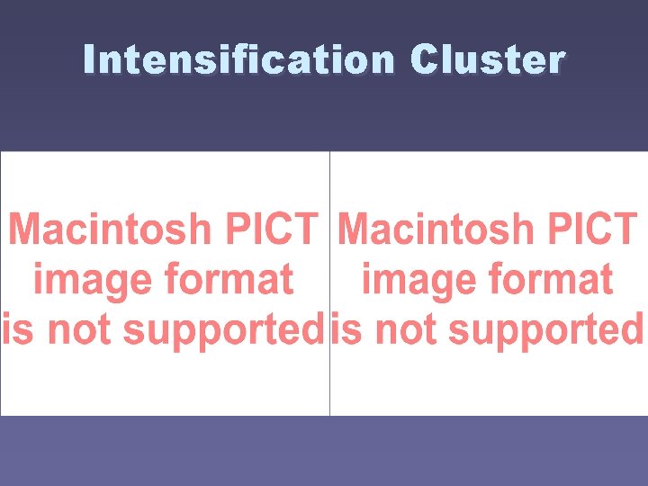 Intensification Cluster 