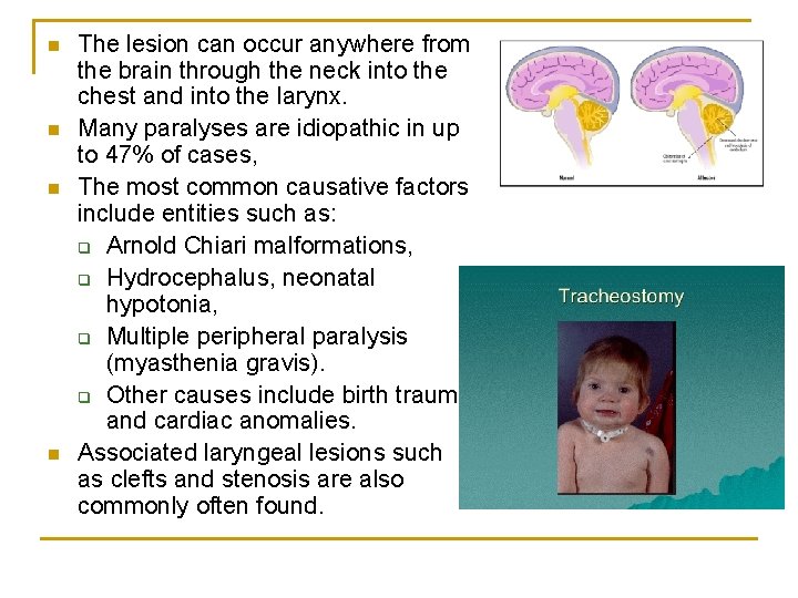 n n The lesion can occur anywhere from the brain through the neck into