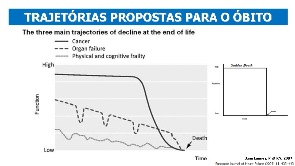 TRAJETÓRIAS PROPOSTAS PARA O ÓBITO June Lunney, Ph. D RN, 2007 