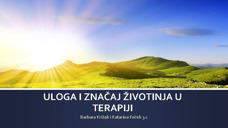 ULOGA I ZNAČAJ ŽIVOTINJA U TERAPIJI Barbara Križak i Katarina Fuček 3. c 