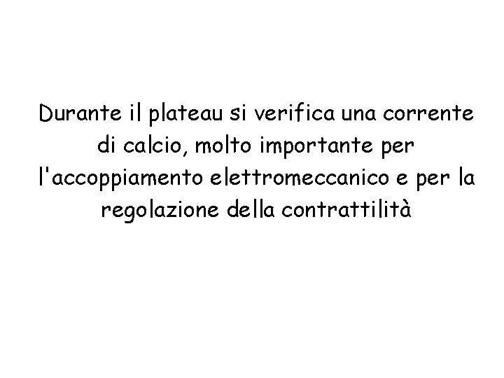 Durante il plateau si verifica una corrente di calcio, molto importante per l'accoppiamento elettromeccanico