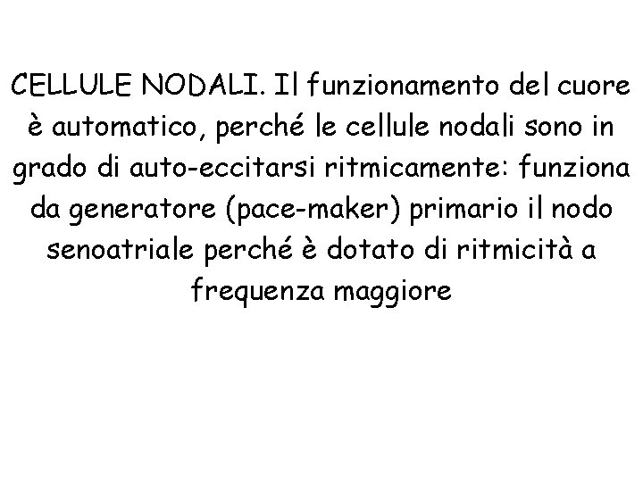 CELLULE NODALI. Il funzionamento del cuore è automatico, perché le cellule nodali sono in