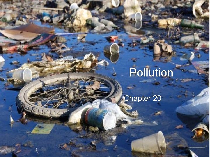Pollution Chapter 20 