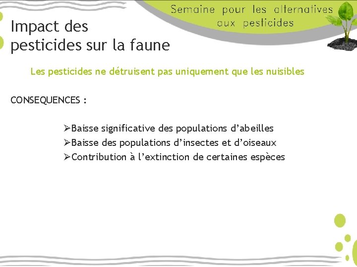 Impact des pesticides sur la faune Les pesticides ne détruisent pas uniquement que les