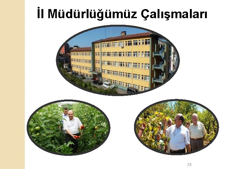 İl Müdürlüğümüz Çalışmaları 29 