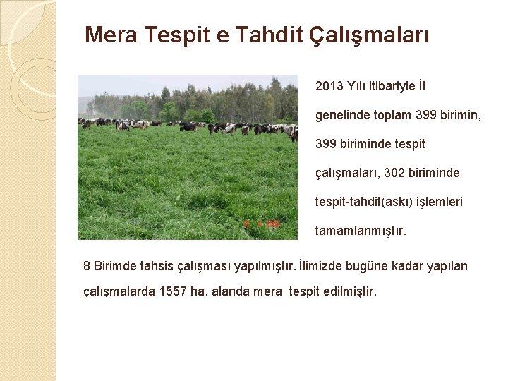 Mera Tespit e Tahdit Çalışmaları 2013 Yılı itibariyle İl genelinde toplam 399 birimin, 399