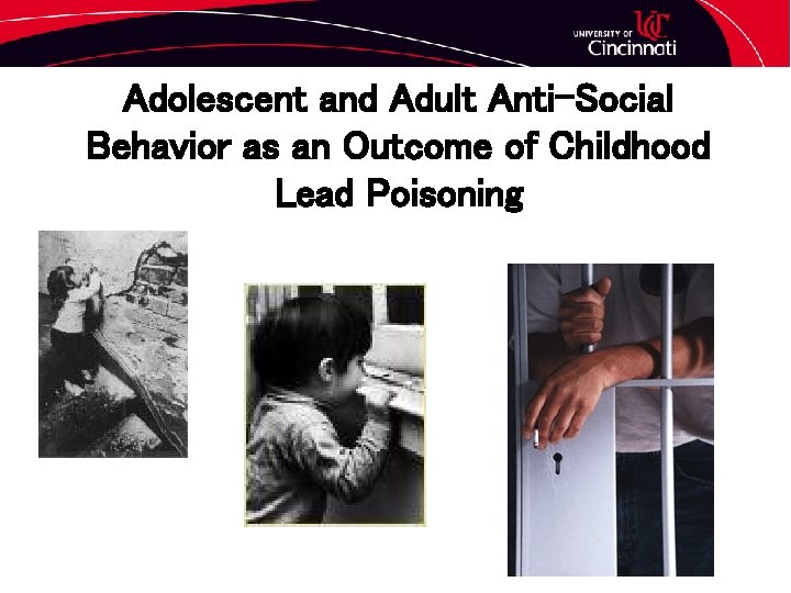 Adolescent and Adult Anti-Social Behavior as an Outcome of Childhood Lead Poisoning 