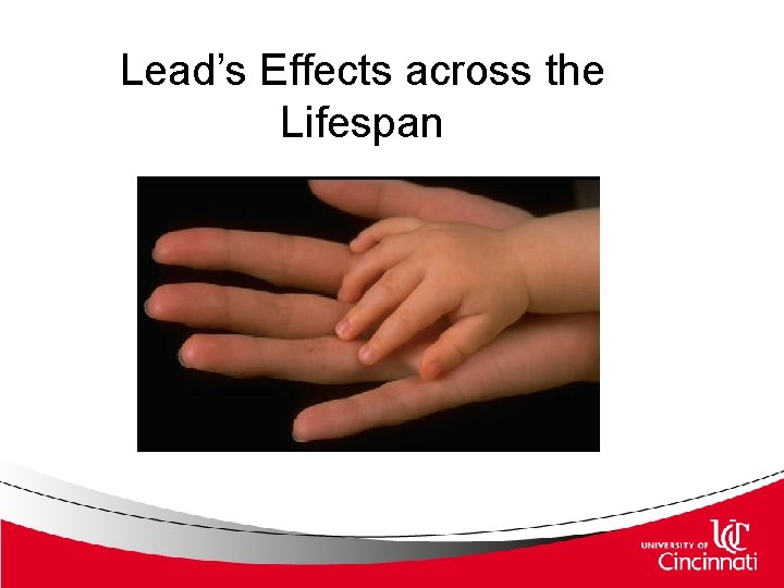 Lead’s Effects across the Lifespan 