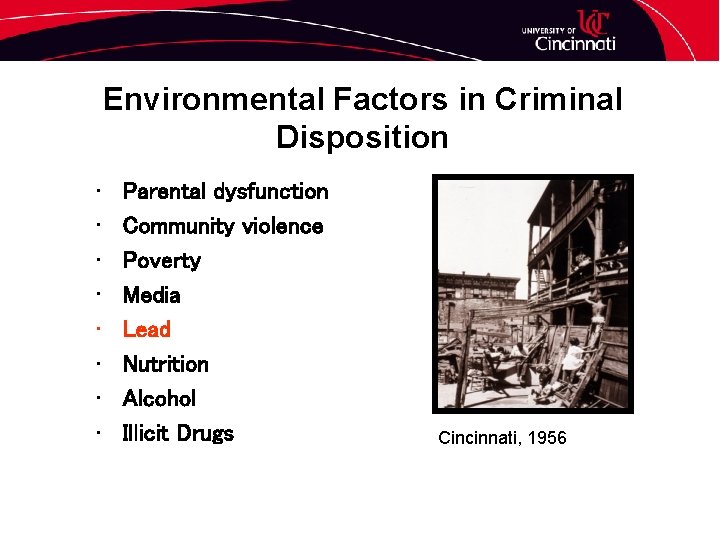 Environmental Factors in Criminal Disposition • • Parental dysfunction Community violence Poverty Media Lead