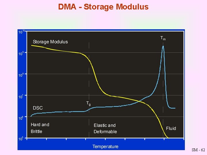 DMA Storage Modulus SM - 62 