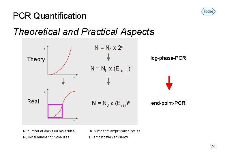 PCR Quantification Theoretical and Practical Aspects N = N 0 x 2 n log-phase-PCR