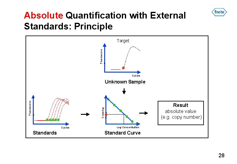 Absolute Quantification with External Standards: Principle Fluorescenc e Target Cycles Standards Result absolute value